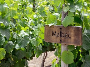 The best Malbec is coming from select sub-regions of the Uco Valley in Mendoza, Argentina.