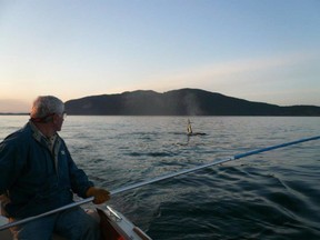 Researcher Pete Schroeder uses a graphite pole with petri dishes attached to collect droplets and exhaled breath from the blowholes of killer whales off the Pacific coast in a handout photo.