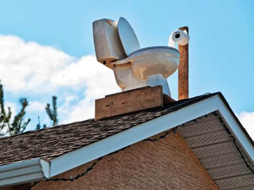 toilet-on-roof-copy-640x352.jpg