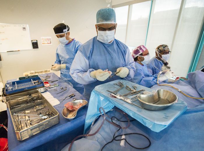 Dr. Amin Javer (third from the left, wearing pink cap) and his team prepare to perform sinus surgery on a patient at False Creek Surgery Centre in Vancouver. 