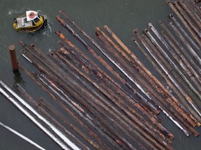 A worker in a small boat moves logs on the Fraser River at the Delta Cedar Sawmill on Jan 6. Forestry continues to occupy a large place of B.C.’s economy, accounting for more than 35 per cent of merchandise exports (in dollar terms) in 2016.