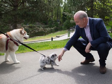 B.C. NDP Leader John Horgan stops to pet a dog while bringing voters to a polling station to vote in the provincial election, in Coqutilam, B.C., on Tuesday May 9, 2017.
