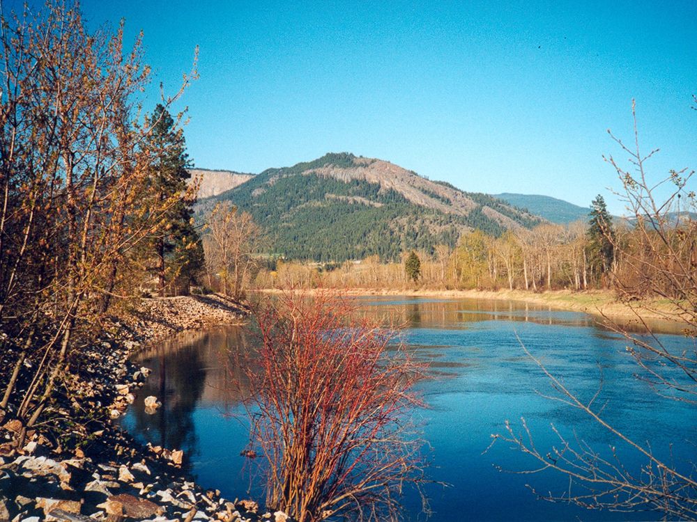 Residents near Shuswap River fuel spill advised to watch water quality