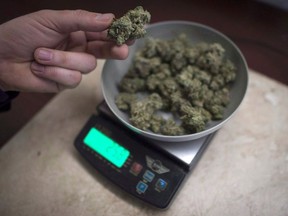 Policy directives are needed if B.C. is to be at the forefront of a legal marijuana industry.