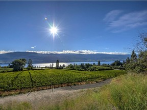 Switchback Vineyard in Summerland is certified organic, a growing movement in the Okanagan.