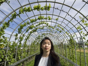 Amy Chang at Lulu Island Winery in Richmond, B.C., May 24, 2017. Chang is asking Prime Minister Justin Trudeau and the Government of Canada to immediately help her parents, who have been imprisoned and detained in China by China Customs since March 2016 in contravention of China's international trade obligations.