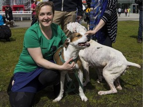 Dozens of 'bully' type dogs and their owners attended a march near Science World in Vancouver Saturday to protest against a ban on pit bulls and other dangerous dogs in Quebec.