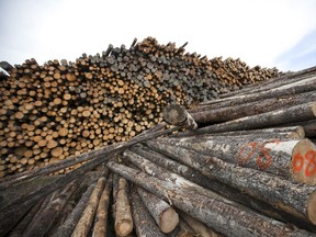 FILE PHOTO West Fraser timber in Quesnel, B.C., June 13, 2013.