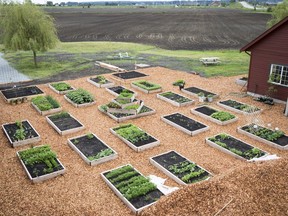 A demonstration garden at West Coast Seeds’ new facility in Ladner.