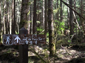 The Juan de Fuca Trail.