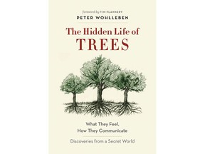 The Hidden Life of Trees book cover.