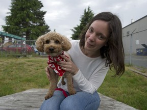 Richmond Animal Protection Society manager Julie Desgroseillers sits with Donut at the RAPS facility on No. 5 Road in Richmond. The dog was found locked in a suitcase on Sunday in some bushes off the 9600-block of Alexandra Road.