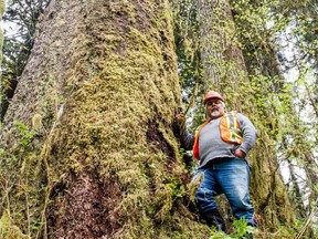 B.C. First Nations are increasingly collaborating in the province's forestry industry.