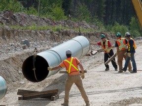 The National Energy Board is issuing a stern warning to the company building the Trans Mountain pipeline expansion for installing mats in streams to discourage fish from spawning where the pipeline is to be installed. Construction work on the Kinder Morgan Trans Mountain pipeline in B.C. near Jasper, Alta.