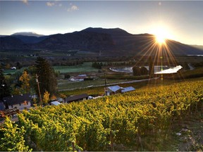 Maverick Estate Winery near Osoyoos is a working family winery and vineyard.