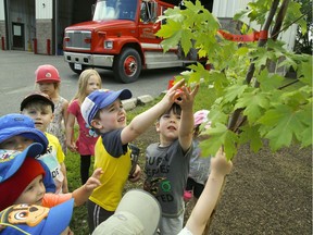 Children at an Ontario daycare are participating in a Canada 150 challenge where they're learning about how to plant and care for trees.