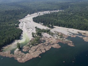 The joint federal-provincial investigation into the collapse of the Mount Polley mine's tailings dam continues. Contents from the pondraced down Hazeltine Creek, with some reaching Quesnel Lake, in 2014.