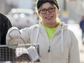 Kaylee Byers is a UBC researcher who specializes in rats and their potential for transmitting disease.
