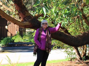 Reader Marie Bruce standing beside an Arbutus tree.