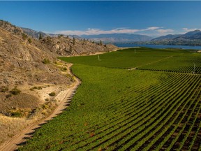 The Okanagan Valley is the heart of B.C. wine country.