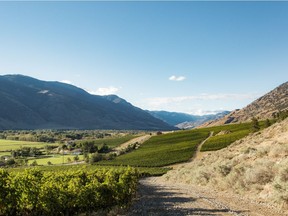 Similkameen Wineries Association is now Similkameen Independent Winegrowers with a new commitment to respect and care for the land, and focus on ensuring the wines and ciders express the rare and special terroir.