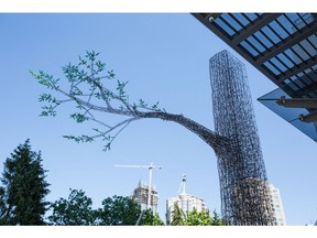 Old Column, stainless steel and steel wire filigree, by Annie Han and Daniel Mihalyo at Modello, a 37-story tower by Boffo at Willingdon Avenue and Beresford Street, Burnaby. *