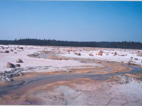 The Salt Plains are a unique feature of Wood Buffalo National Park.