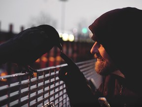 Still from "Canuck and I", a short documentary about Canuck the Crow.