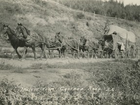 Samuel McDonald's wealth came from operating a wagon-train (similar to the one shown here) taking prospectors to towns in the goldfields such as Barkerville, the wild abode of some 5,000 at its peak.
