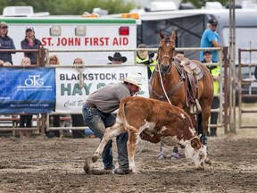 The Vancouver Humane Society is pushing the Chilliwack Fair and Rodeo to ban steer-wrestling and calf-roping from its 2017 event, calling the events 'cruel.' This is a photo taken by the VHS at the 2016 Chilliwack Fair.