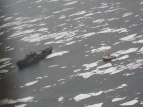 April 11, 2008 - The Farley Mowat closes in on a sealing vessel off the east coast of Cape Breton, Nova Scotia.  Fisheries and Oceans Canada Handout photo.
