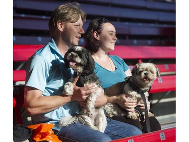 Peter Kostrzycki holding Lacey and Melissa Kostrzycki holding Cagney attend the Dog Days of Summer hosted by the Vancouver Canadians at Nat Bailey Stadium, Vancouver, July 13 2017.