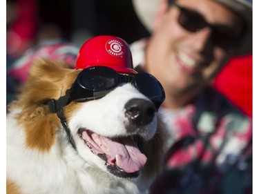 Holly and Jako Predovic attend the Dog Days of Summer hosted by the Vancouver Canadians at Nat Bailey Stadium, Vancouver, July 13 2017.