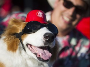 VANCOUVER. July 13 2017. Holly and Jako Predovic attend the Dog Days of Summer hosted by the Vancouver Canadians at Nat Bailey Stadium, Vancouver, July 13 2017.   Gerry Kahrmann  /  PNG staff photo) ( Prov / Sun News ) 00049917A  [PNG Merlin Archive]
Gerry Kahrmann, PNG