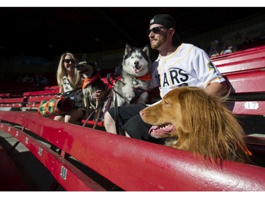 Melanie Bolderson and Kevin Wardrop attend the Dog Days of Summer hosted by the Vancouver Canadians at Nat Bailey Stadium with their dogs Jordyn ( L ) , May ( C ) and Piper ( R ), Vancouver, July 13 2017.