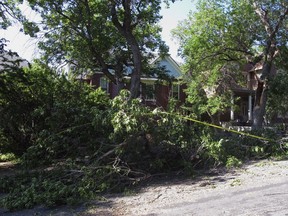 Yellow tape warns drivers of a large tree branch felled by an earthquake that is partially blocking a road in Helena, Montana, on Thursday, July 6, 2017. The 5.8-magnitude quake and numerous aftershocks were centered about 30 miles away in Lincoln, Montana, and could be felt as far away as Vancouver.