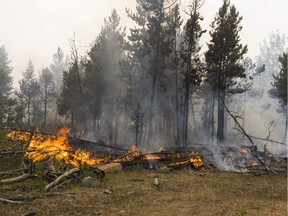 Hundreds of residents of the Tsilhqot'n Nation have defied orders to evacuate their homes and are fighting the raging wildfires that have spread across their territory with help from ministry firefighters.