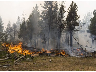 Tsilhqot'n Nation land near Williams Lake, BC Thursday, July 13, 2017. Hundreds of residents of the nation have chosen not to evacuate their homes and are fighting the raging wildfires that have spread across their territory with help from ministry firefighters.
