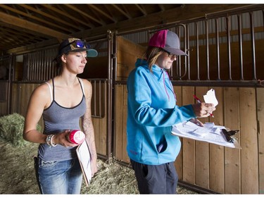 Lexy Fowlie (left) and Chelsea Wallach, who is coordinating the evacuation of the horses in the areas affect by the wildfires, leave the stables at the Prince George Exhibition Grounds in Prince George, BC, July, 10, 2017.