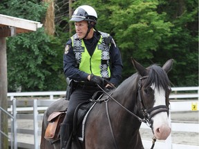 Const. Richard Vanstone in action with some of the horses at the Vancouver police mounted unit in Stanley Park.