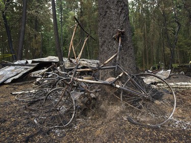 A bike rests against a burnt tree sitting on a property after the Soda Creek Fire jumped across the Fraser River near Alexandria, BC, July, 16, 2017.