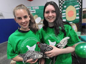 Blythe Parry (left) and Janelle Pomeroy have taken their fight to raise backyard chickens to city hall in Maple Ridge. Now they are teaching people how to raise chickens as a way to enlist others to join their battle.