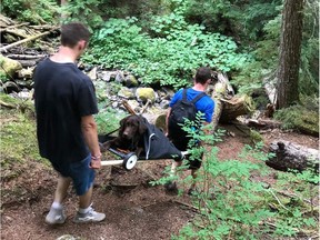 A group of hikers rescue Louie, a chocolate lab, that was injured and stranded at Radium Lake in the Chilliwack mountains.