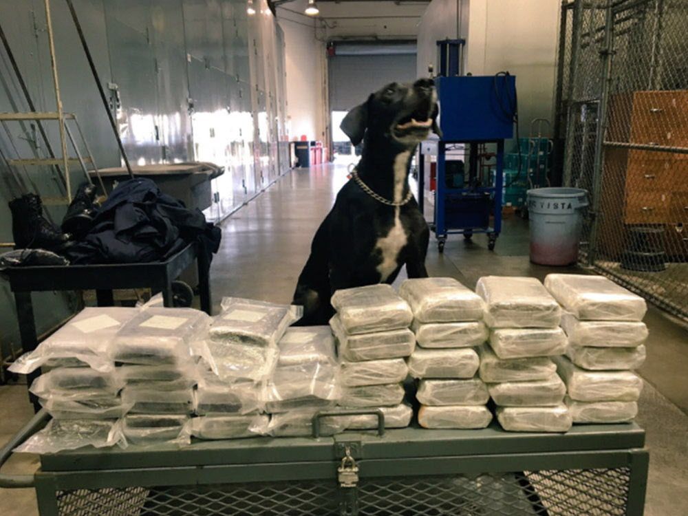 B.C. Man Arrested In California After 88 Pounds Of Cocaine Found ...