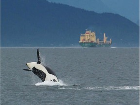 Transport Minister Marc Garneau said Thursday in Vancouver he's not ready to impose tough new restrictions on shipping to help protect B.C.'s endangered southern resident killer whales from extinction.