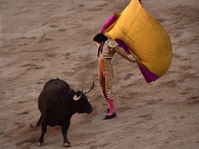 Spanish bullfighting Gines Martin performs with a Nunez del Cuvillo's fighting bulls during a bullfight at the San Fermin Festival, in Pamplona, northern Spain, on July 13, 2017.