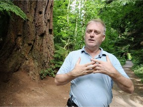 Bill Stephen, arborist and urban forestry specialist for the Vancouver Board of Parks and Recreation, in Stanley Park.