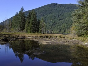 Bowen Island residents are in an uproar over government planning that could lead to large-scale logging on Bowen Island.