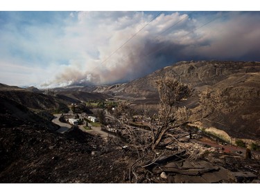 Fire

A burnt tree is seen in the foreground above the remains of mobile homes destroyed by wildfire in Boston Flats as a fire burns on a mountain near Ashcroft, B.C., on Sunday, July 9, 2017. B.C. government officials now estimate that 7,000 people have been evacuated from their homes due to wildfires burning in the province. THE CANADIAN PRESS/Darryl Dyck ORG XMIT: VCRD134
DARRYL DYCK,