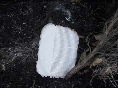 Page

A burnt page from a book is seen on the ground near the remains of mobile homes destroyed by wildfire in Boston Flats, B.C., on Sunday July 9, 2017. B.C. government officials now estimate that 7,000 people have been evacuated from their homes due to wildfires burning in the province. THE CANADIAN PRESS/Darryl Dyck ORG XMIT: VCRD232
DARRYL DYCK,
